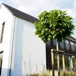 Nouvelle habitation à Ramegnies-Chin